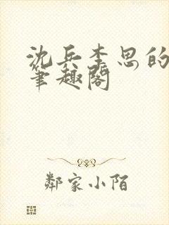 沈兵李思的小说笔趣阁封面