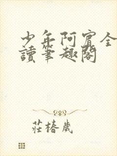 少年阿宾全文阅读笔趣阁