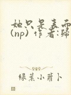 她只是表面清纯(np) 作者:归零封面