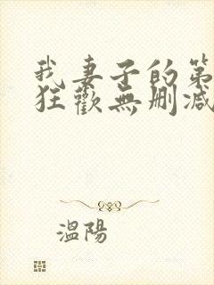 我妻子的第一次狂欢无删减版