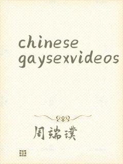 chinesegaysexvideos封面