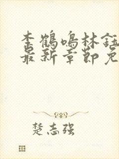 李鹤鸣林钰小说最新章节免费阅读