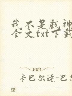 我不是戏神小说全文txt下载