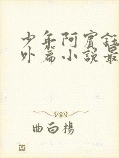 少年阿宾钰慧番外篇小说最新章节列封面