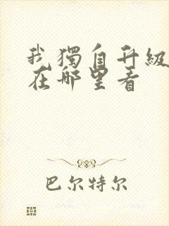 我独自升级漫画在哪里看封面