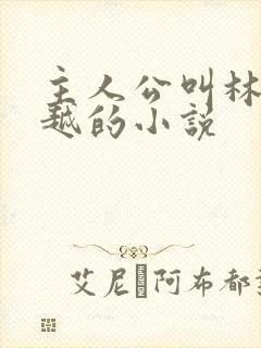 主人公叫林风穿越的小说