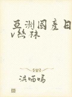 亚洲国产日韩av丝袜