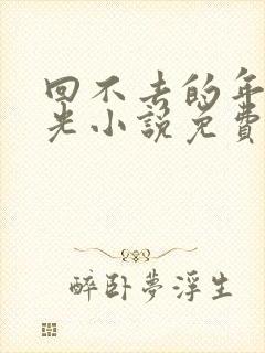 回不去的年少时光小说免费阅读