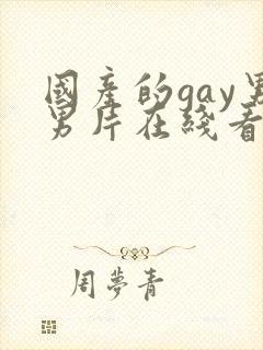 国产的gay男男片在线看