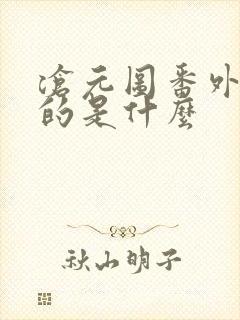 沧元图番外篇讲的是什么