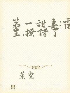 第一甜妻:霍先生,撩错了封面