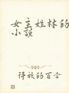 女主姓林的穿越小说