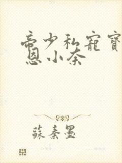 帝少私宠宝贝妻 恩小奈