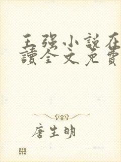 王强小说在线阅读全文免费