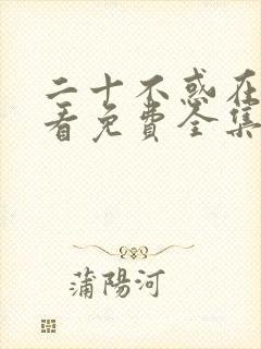 二十不惑在线观看免费全集高清封面