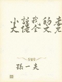 小说我的老公是大佬全文免费阅读