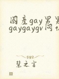 国产gay男男gaygaygv网站封面