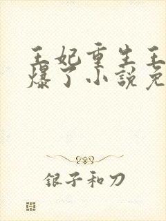 王妃重生王爷宠爆了小说免费阅读