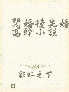 闪婚后先婚后爱高干小说