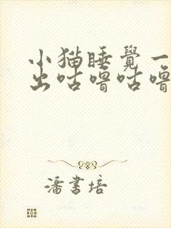 小猫睡觉一直发出咕噜咕噜的声音