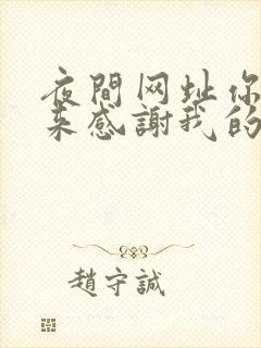 夜间网址你会回来感谢我的封面