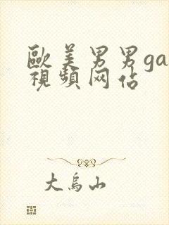 欧美男男gay视频网站