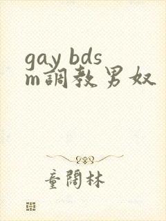 gay bdsm调教男奴