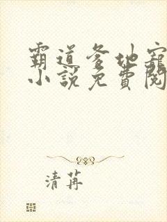 霸道爹地宠又撩小说免费阅读封面