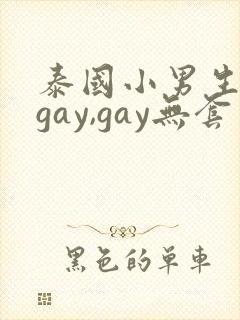泰国小男生同性gay,gay无套
