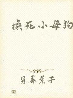 操死小母狗封面