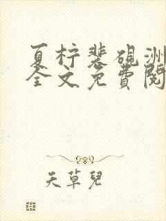 夏柠裴砚洲小说全文免费阅读最新章