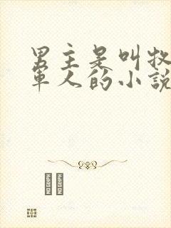 男主是叫牧野是军人的小说