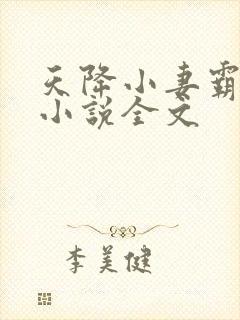 天降小妻霸道宠小说全文封面