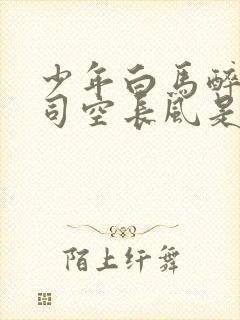 少年白马醉春风司空长风是谁