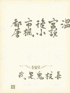 都市后宫温碧云唐枫小说
