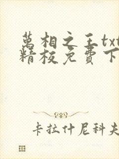 万相之王txt精校免费下载