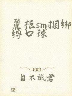 丽柜sm捆绑紧缚口球