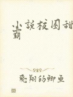 小说校园甜文校霸