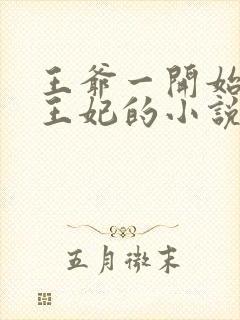 王爷一开始讨厌王妃的小说