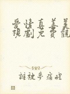 爱情真善美 电视剧免费观看封面