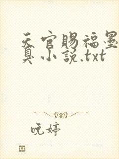 天官赐福墨香铜臭小说.txt