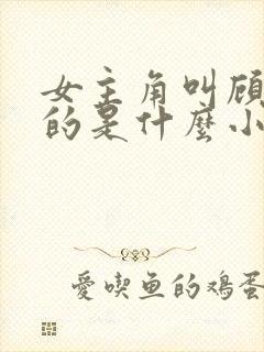 女主角叫顾知夏的是什么小说