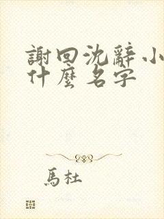 谢回沈辞小说叫什么名字