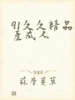 91久久精品国产成人封面