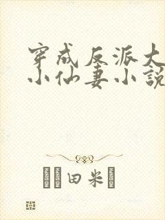 穿成反派大佬的小仙妻小说免费阅读