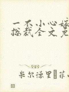 一不小心嫁了个总裁全文免费阅读封面