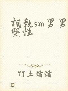 调教sm男男肉双性封面