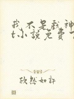 我不是戏神txt小说免费下载