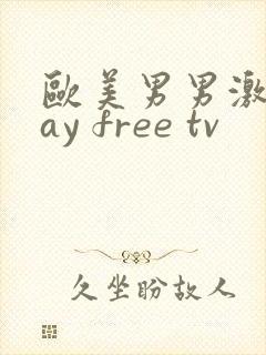 欧美男男激情gay free tv