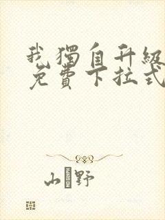 我独自升级漫画免费下拉式土豪漫画